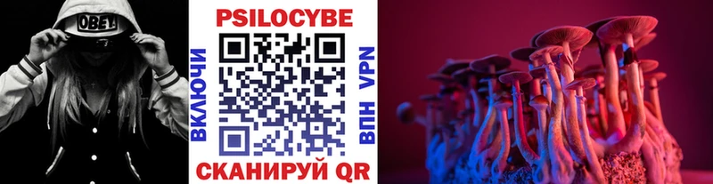 Псилоцибиновые грибы MAGIC MUSHROOMS  маркетплейс клад  Иркутск 